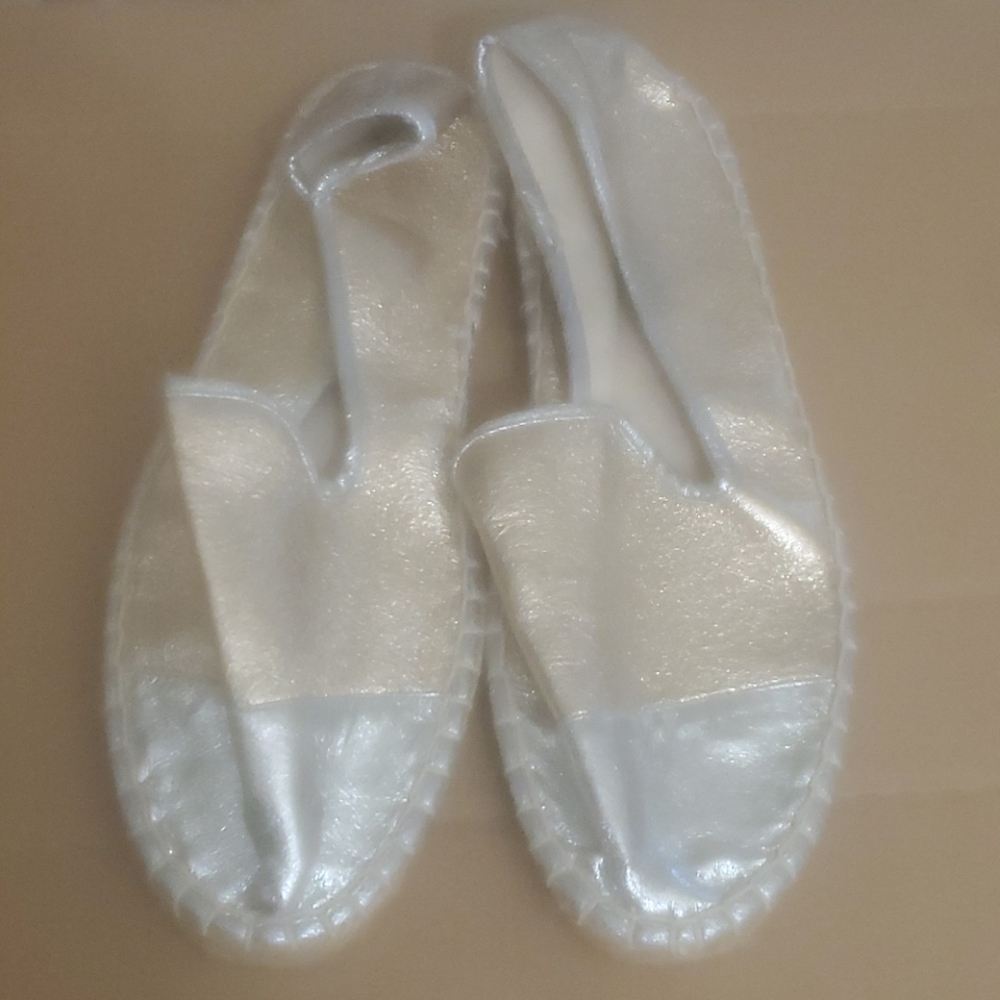 Gold and Silver Canvas shoes